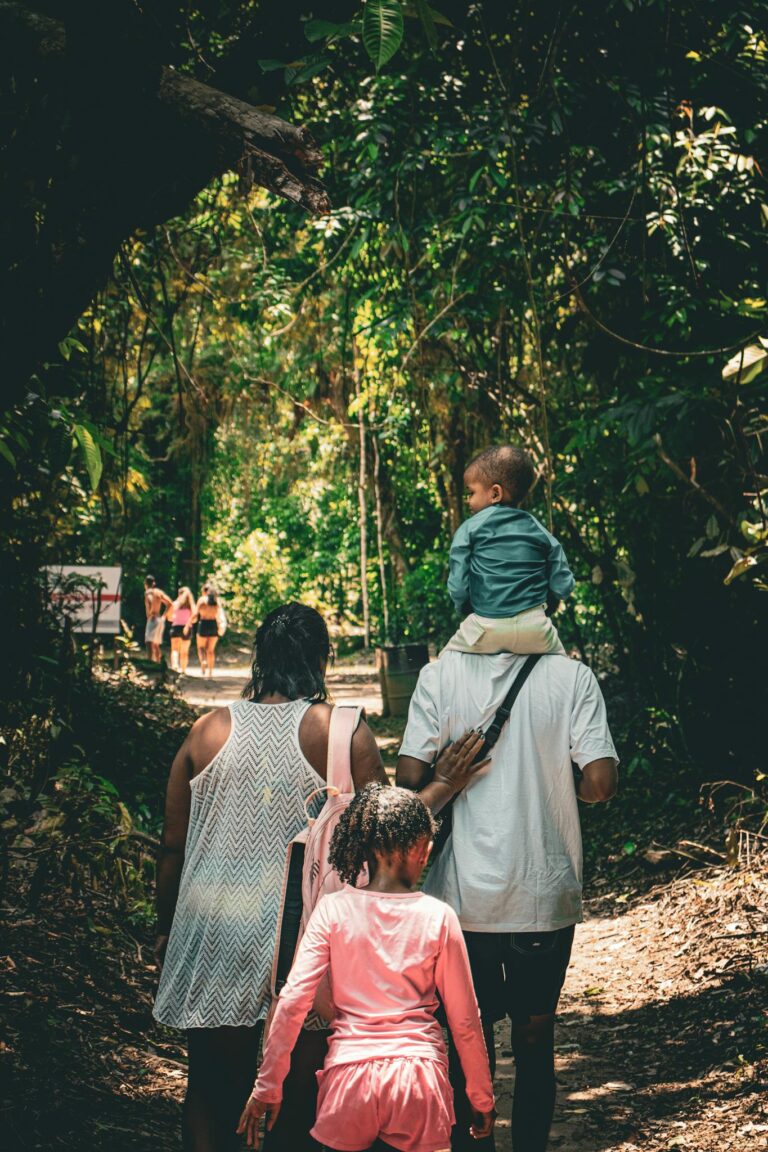 A family enjoying a leisurely walk on a tree-lined forest path during the day.